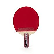 DHS Ping Pong Paddle A4006, Table Tennis Racket - Penhold