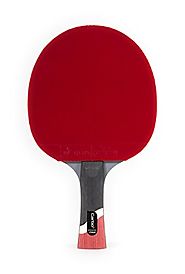 Ping Pong Paddle Buying Guide (2016-2017 Reviews & Top 5)
