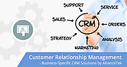 Customer Relationship Management (CRM) Consulting