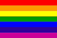 This is the gay pride flag. Being gay means that you are attracted to people of the same gender as you.