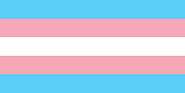 This is the Transgender flag. Being transgender means you have a gender identity that is different than your birth id...