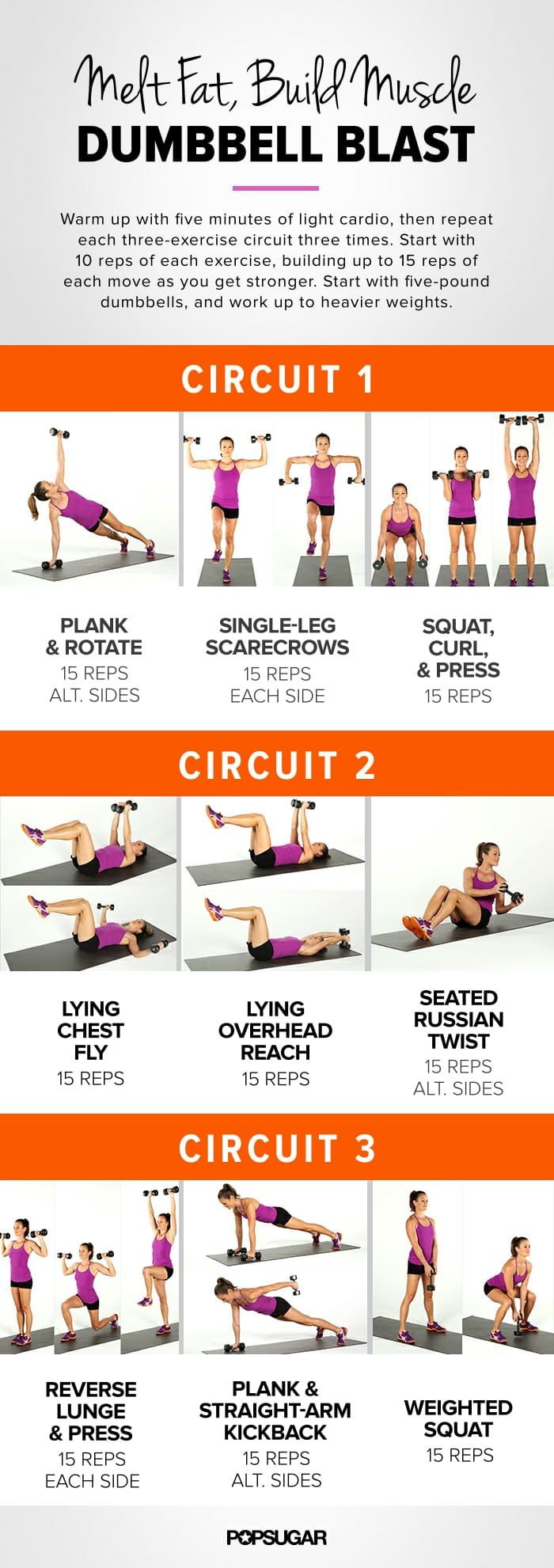 whole body workout for women