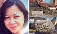 Search for American beauty queen, 46, uncovers 'items of interest' during garden dig | Daily Mail Online