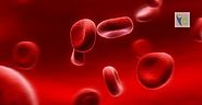 Simple Home Remedies for Anemia | Insights Care