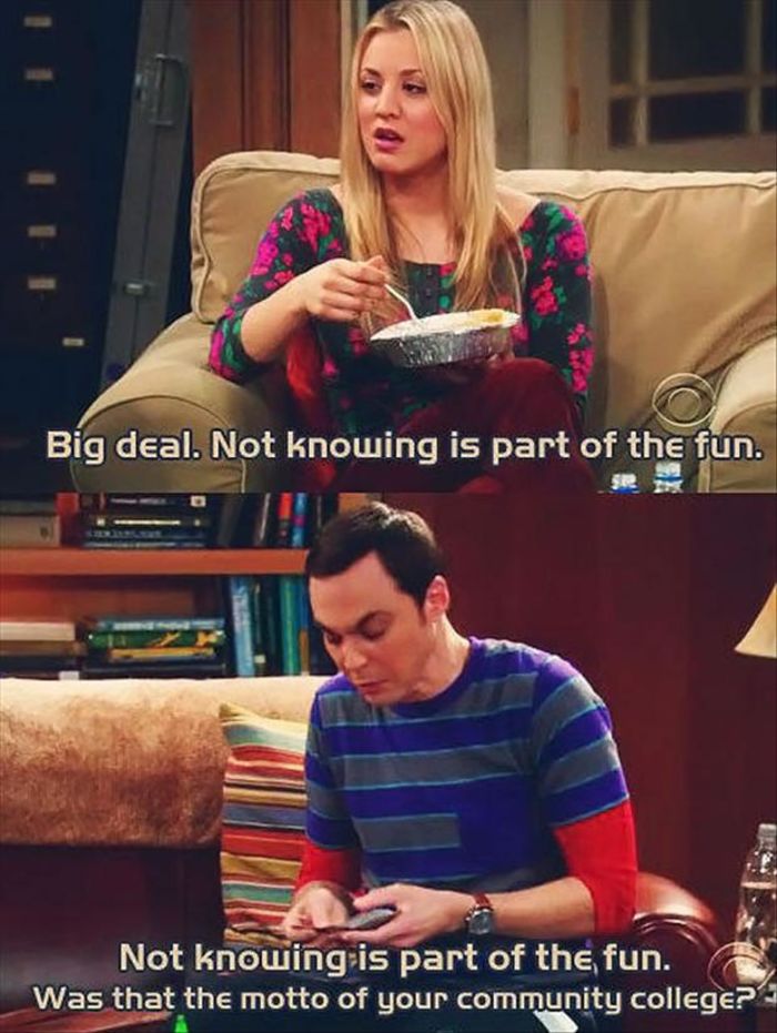 big bang theory quotes funny