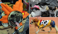 Hot dogs! Meet the pampered pooches styled in pet-crazy Japan's most ludicrously expensive clothes emporium