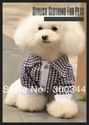 Stylish Clothing For Pets: Fashionable Apparel