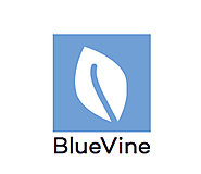 BlueVine Reviews