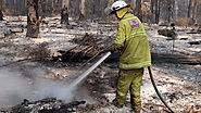 What we lose to the flames: The true cost of bushfires