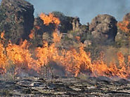 Traditional Aboriginal land burning