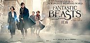 Best Achievement in Costume Design- Fantastic Beasts And Where To Find Them