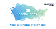 Social Index 2016