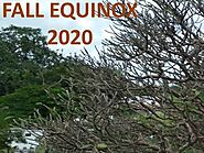 Fall Equinox 2020: Date Time and Meaning - Start of Autumn 2020