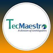 Web Design and Development Services India - TecMaestro It Services