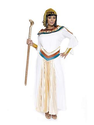 Womens Cleopatra Adult Plus Costume | Plus Size Costumes Egyptian/Arabian Halloween Costumes