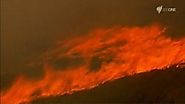 Bushfires - inside the inferno : built to burn