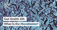 Gut Health 101: What Is the Microbiome?