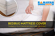 Bed Bug Mattress Cover - Things to Consider Before Buying