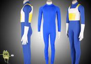 Dragon Ball Z Vegeta Super Saiyan Cosplay Costume Armor