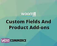 Custom Fields And Product Add-ons