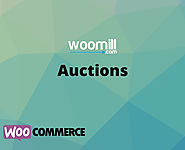 WooCommerce  Auction Plugin