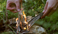 HowStuffWorks "Survival Skills Quiz"