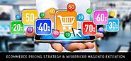 WisePricer Magento Extension – Implement Effective Pricing Strategy For eCommerce Success - techexpert.over-blog.com