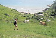 La playa que dejó de ser secreta: Praia do Rosa