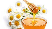 Welcome to BEE's HoneyBest Natural Honey Suppliers & Exporters In USA, Canada We started manufacturing natural honey ...