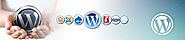 Offshore WordPress Development Company, WordPress Development Services India