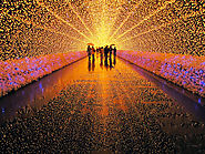 Winter Light Festival In Japan