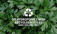 DIY Hydroponics from Recycled Bottles - Grow Your Own Food! - Red Dot Geek