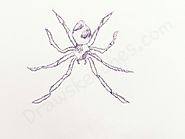How to Draw A Spider: In a Few easy steps with pictures