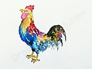 How to Draw A Rooster: In a Few easy steps with pictures