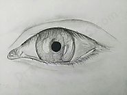 How to Draw An eye: In A Few Easy Steps with Pictures