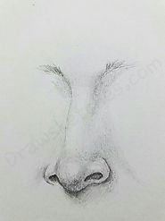 How to Draw A Nose: In A Few Easy Steps with Pictures