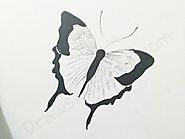 How to Draw A Butterfly: In A Few Easy Steps with Pictures