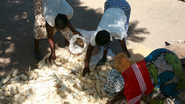 Zambia: Bekæmpelse af sult, fattigdom og hiv/aids - Folkekirkens Nødhjælp