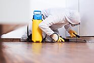 Find the best Commercial Pest Control in Caterham