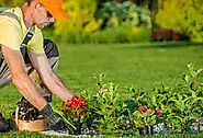 Find the best Turfing in Harnham Hill