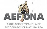 Aefona | Asociación Española de Fotógrafos de Naturaleza 