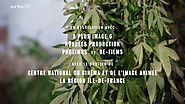 Cannabis Ep 1(la serie arte) - vidéo Dailymotion