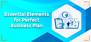 Essential Elements for Perfect Business Plan - Digimarknepal