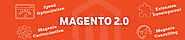 Magento 2 Upgrade Service