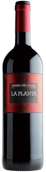 ARZUAGA LA PLANTA - Navarro Bodeguero