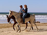 Horseback Riding in Abu Dhabi – Old World Charm