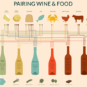 Wine Pairing Chart | Visual.ly