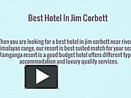 Best Budget Hotels Near Jim Corbett National Park