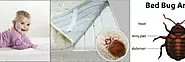 Robinson Bed Bugs Maintenance Specialist LLC - Google+