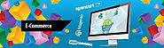 E-Commerce WooCommerce Magento Web Design & Web Development Company Delhi NCR, Site Hosting, Maintenance: Responsive ...